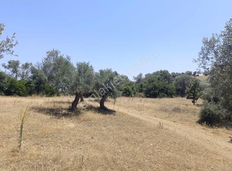 Menderes Akçaköyde 3869 M2 Arsa İcerisinde Yapı Acilll