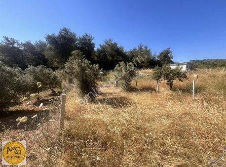 Mir'den Belenbaşında 255 Mt Hisse Tapulu Yatırımlık Tarla