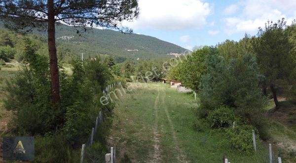 Bilecik Yenipazarda İçinde Kuyusu Olan Bahçe