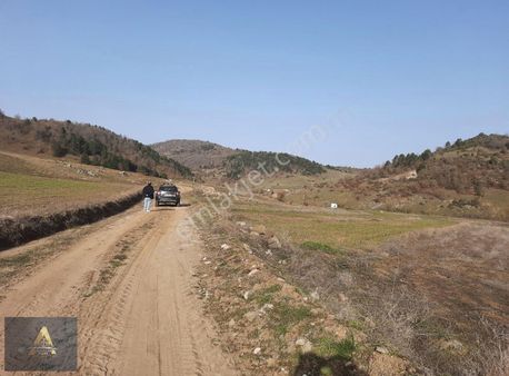 Resmi Yollu Yatırım Fırsatı