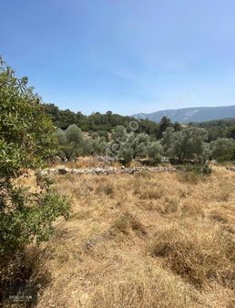 Doğadan Muğla Yolunda Köyiçinde Kadastral Yollu Manzaralı Arazi