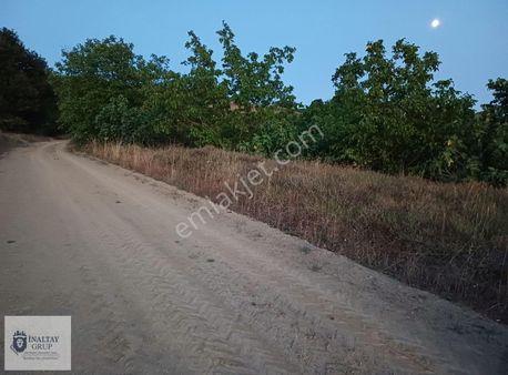 Kandıra Elmacık Ta Gıosb Yakınında Prim Değeri Yüksek Arazi