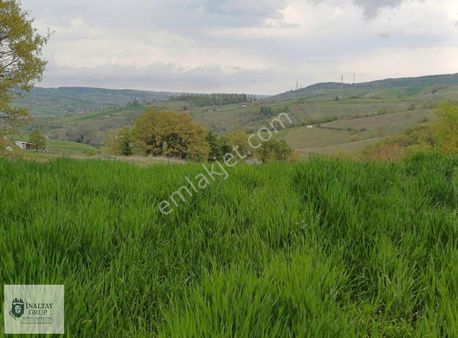 Kandıra Elmacık'ta Gıda Osb 'ye Yakın Prim Değeri Yüksek Arazi