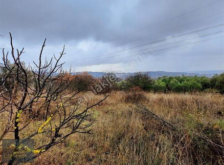 Özcan Çiftci'den Bademli'de, İmara Yakın,yola Cephe, Uygun Arazi