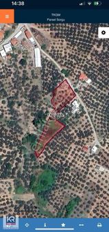 Kr Taç Mudanya Mırzaoba 2292 M2 Satılık Zeytınlık