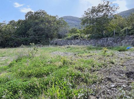 Kemalpaşa Ovacık Köyünde Ceviz Ve Çeşitli Meyve Bahçesi