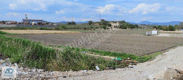 Soma Turgutalp Satılık Arazi