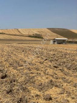 Babaeski Müsellimde Ana Asfalta İkinci Parsel Tek Tapu Arazi