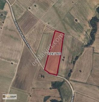 Kırklareli Satılık Tek Tapu Tarla Babaeski Erikleryurdu Köyü