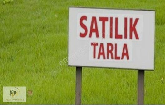 Mollaoğlu Mahallesinde Satılık Tarla