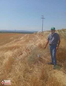 Edirne, İpsala, Sultan Köyde 14,34 Dekar Yatırımlık Tarla