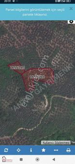 Bursa, Orhangazi, Yenisölözde Satılık Zeytinlik