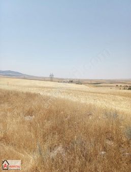 Ankara, Ayaş, Uğurçayırı Köyünde Satılık 37,5 Dekar Tarla