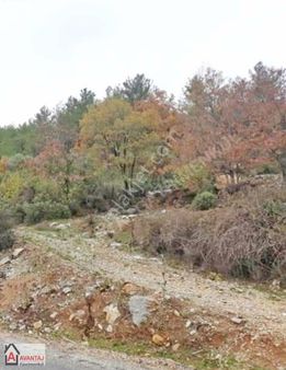 Muğla Menteşede Yenicede Fırsat Tarla Kısa Süre İndirimde