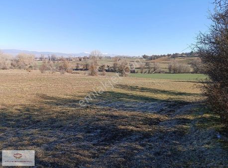 Atlas'tan Devrekâni Merkeze 6 Km Mesafede Satılık Tarla