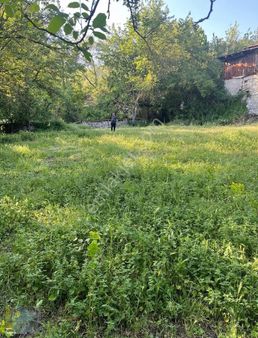 Bolu İli, Mudurnu İlçesi, Munduşlar Mah. 805.52 M² Satılıkbahçe