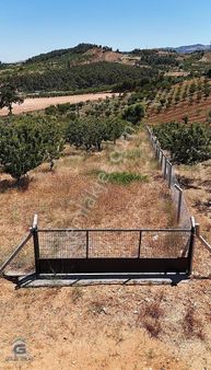 Acil Satılık Dağyeni Köyde İmarlı Fırsat Fiyatlı Satılık Arsa