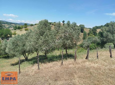 Empa Gayrimenkul'den Balya Dereköy'de Köy İçi Arazi!