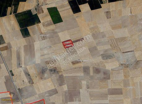 Altıncaba'dan Başhüyük Halisırtta 48.546 M² Verimli Tarla