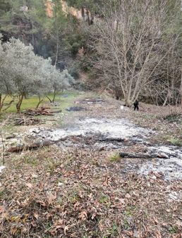 Acil Satılık Yatırımlık Bahçe Fırsatı