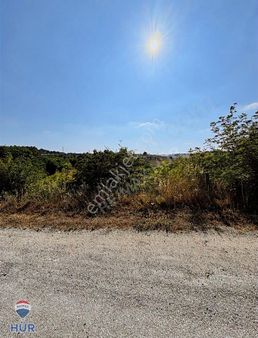 Remax Hür Yeşim Kara'dan Yola 100 Metre Cepheli 3560m2 Tarla