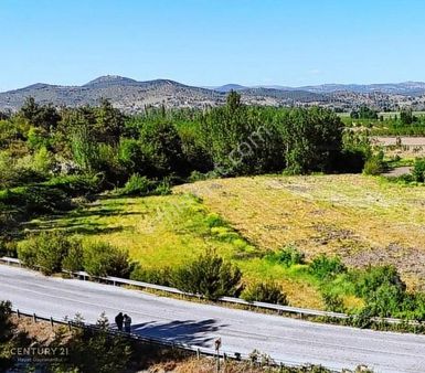 Balıkesir Sındırgı Cüneyt (bayırlı) Mah. Satılık Verimli Tarla
