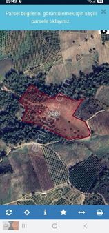 Mersin Yan Par'da 16 Dönüm Tek Tapu Hisse Olmadan Alınacak Arsa