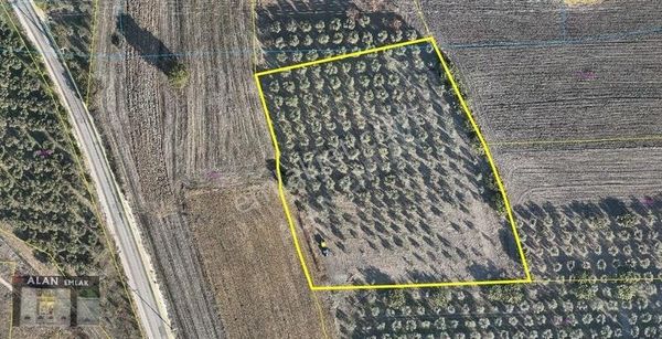 Fabrikalara Yakın Yatırımlık Arazi