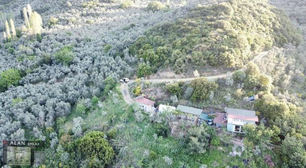 Kumyaka Da Deniz Manzaralı Kadastro Yoluna Cepheli Arazi