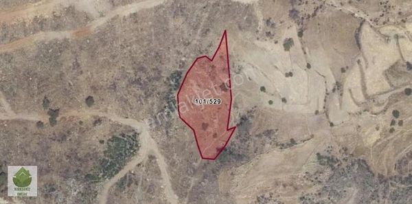 Muğla Milas Akçakayada Satılık Geniş Tarla