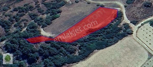 Denizli Kale Esenkaya'da Kadastral Yolu Olan Satılık Tarla...