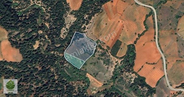 Denizli Tavas Kayaca'da 3949 M² Satılık Yatırımlık Tarla...