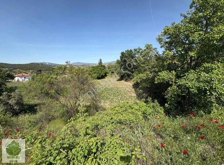 Muğla Menteşe Gazeller'de Köy İçi İmarlı Satılık Tarla...