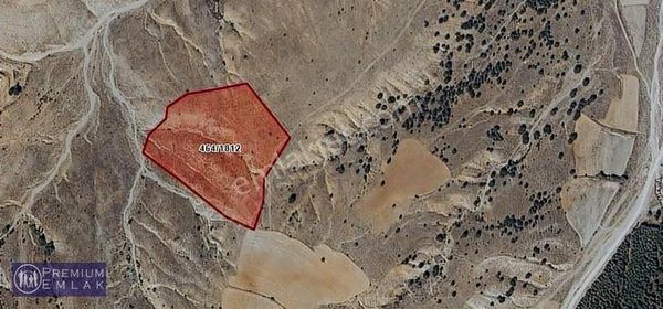 Premıum'dan Işıklar Ksb. Satılık 24.975m² Tarla