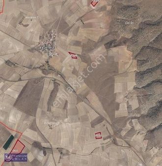 Premıum'dan Sinanpaşa Başkimse'de Satılık Tarlalar