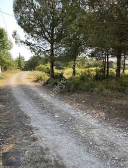 Bf Grouptan Akyazı Salihiye'de Satılık Müstakil Ev