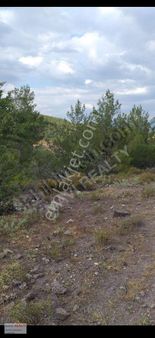 Muğla Milas Pınararası Köyünde Doğa İle İç İçe Tarla Satılıktır.