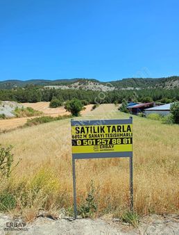 Bolu Mudurnu Sanayi Tesisi İmarlı Tarla