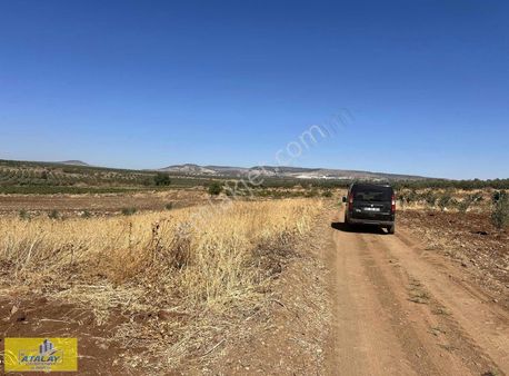 Kilis Merkez Akıncı Mahallesinde Kaçmaz Fırsat Arsa Parasınana