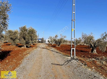 Satlık Bağ Evlik Süper Başında Eletirik Kaçmaz Fırsat Acil Arazi