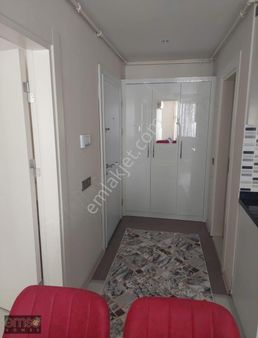 Hurmada 1+1 Kiralık Eşyalı Daire.