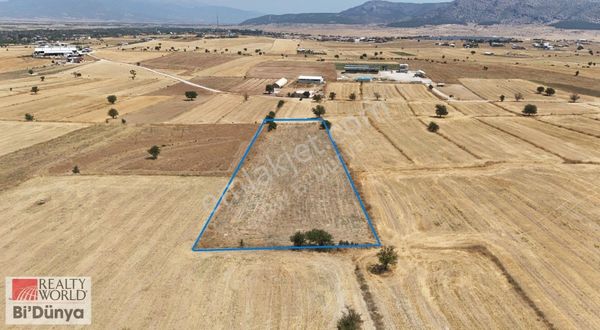 Korkuteli Bozova Yukarı Mh. 5447 M2 Tarla