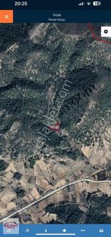 Bilecik Söğüt Küre De Yatırımlık Arazi