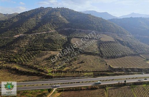 Pasifikten Manisa Turgutluda Anayol Üzeri 7419 M² Tek Tapu Arazi