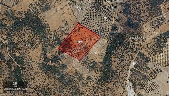 İzmir Dikili Demirtaş'ta Satılık Yatırımlık Arazi