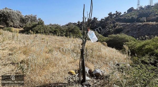 Özteam Den Seferihisar Beyler Köyünde Satılık Arsa