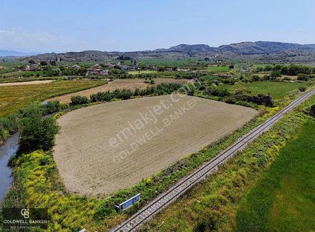 Aydın Germencik Tekin'de Satılık Fırsat 7,5 Dönüm Tarla!
