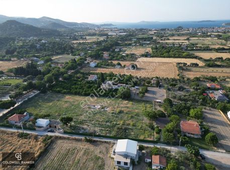 Urla İskelede Denize Yakın, Ağaçlı Yol Üzerinde 9.048 M² Arsa