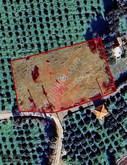 Karaburun Badembükü'nde 3.157 M² Yatırımlık Tarla!