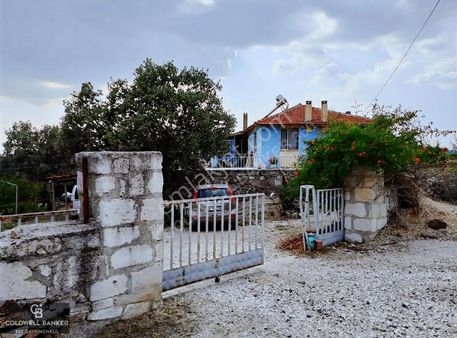 Manisa Selendide Dekarı 300 Bin Tl Üretime Hazır Satılık İşletme